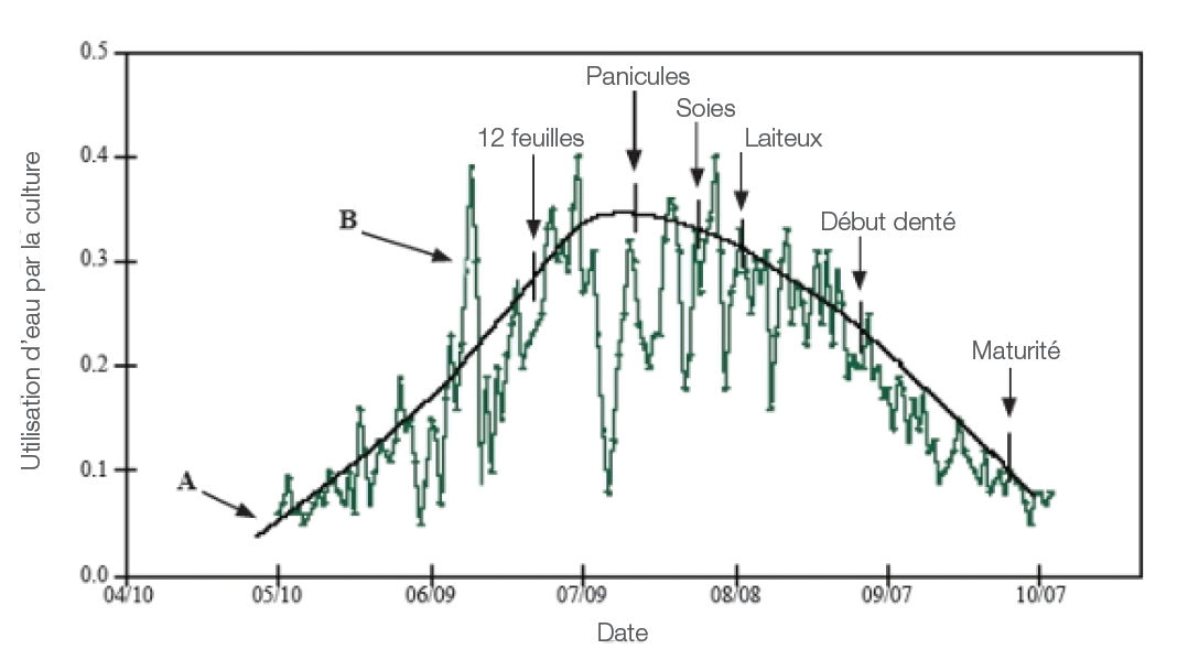  Exemple d’une moyenne quotidienne à long terme (A) et d’une moyenne annuelle individuelle (B) d’utilisation d’eau selon les stades de croissance du maïs